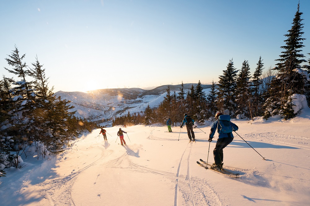 Eine Freundesgruppe, die gemeinsam Ski fahren