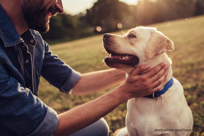 Glücklicher Mann der seinen Hund streichelt