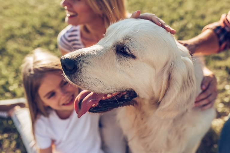 Familie freut sich mit Hund